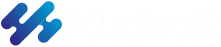 Mudsoft Inc. - Managed IT Services